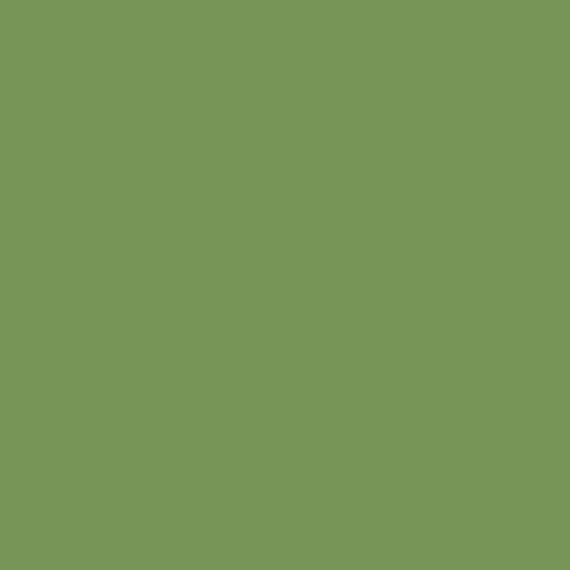 Tone Pro: Kasrkin Green 4